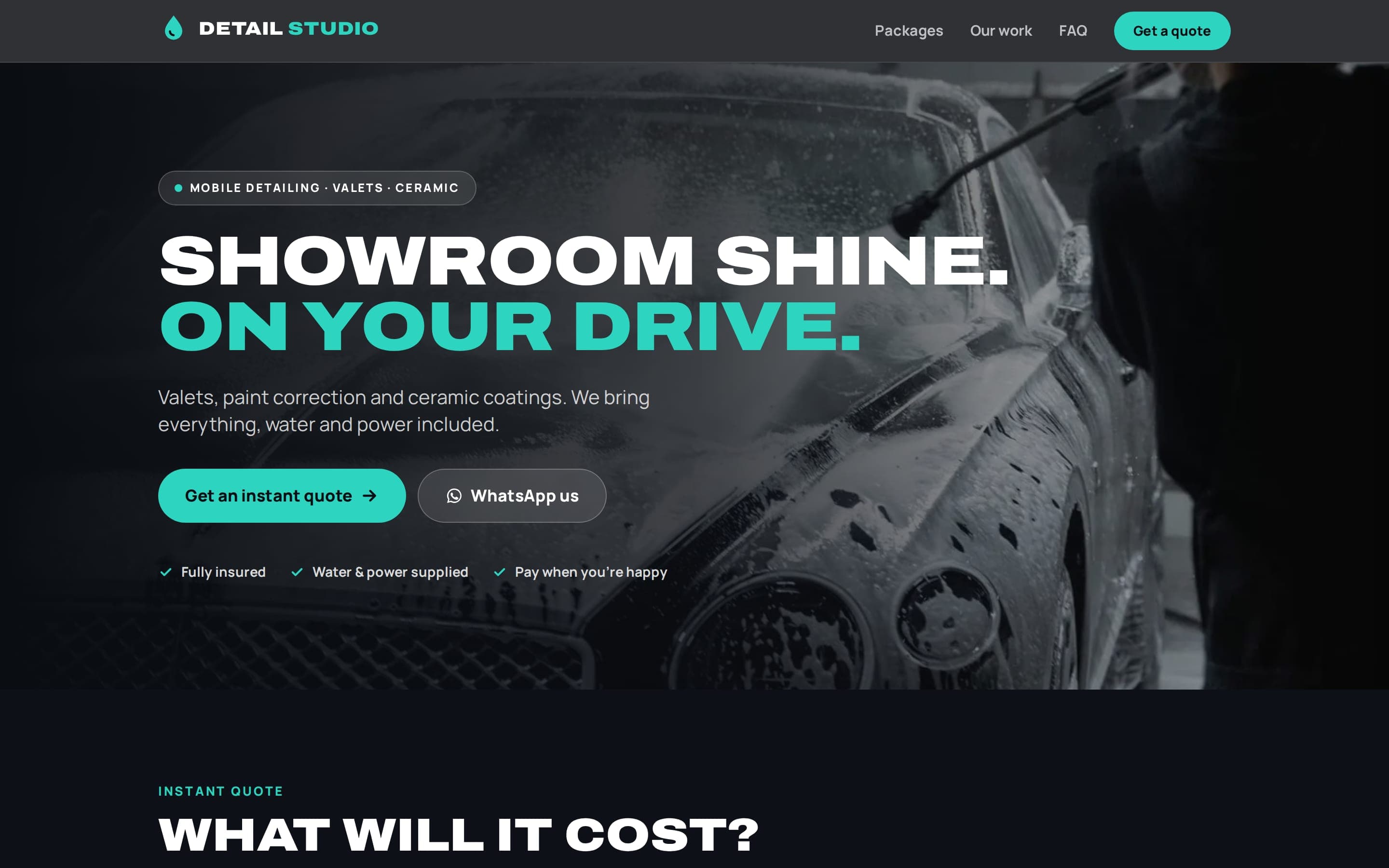 Example detailing website on a desktop